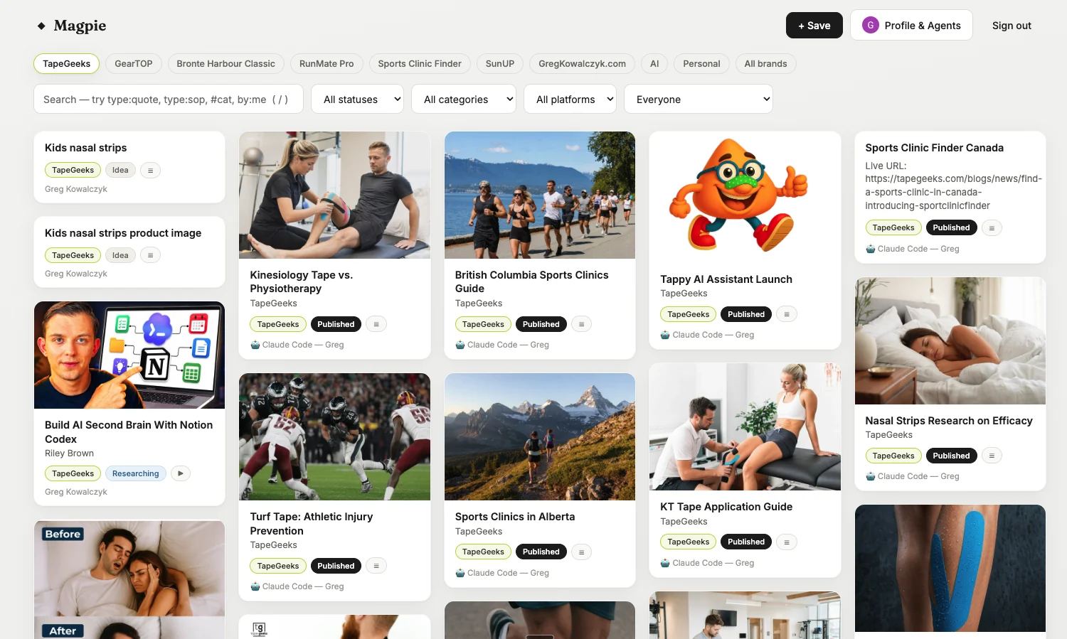 Magpie screenshot